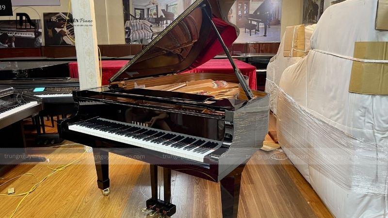 Đàn Piano gỗ cao cấp: Tìm hiểu về các thương hiệu châu âu danh tiếng 2 Một cây đàn piano gỗ có thể tồn tại hàng trăm năm nếu được bảo quản đúng cách