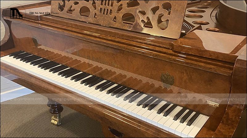 Đàn Piano gỗ cao cấp: Tìm hiểu về các thương hiệu châu âu danh tiếng 6 Bösendorfer – Âm thanh Vienna huyền thoại