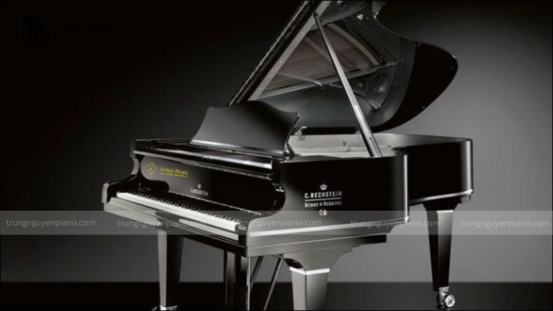 Đàn Piano gỗ cao cấp: Tìm hiểu về các thương hiệu châu âu danh tiếng 7 C. Bechstein – Sự kết hợp hoàn hảo giữa truyền thống và hiện đại