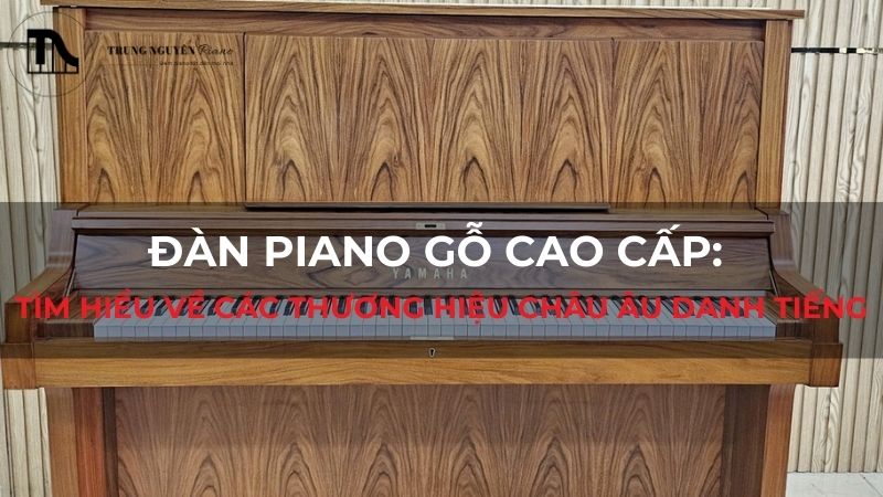 Đàn Piano gỗ cao cấp: Tìm hiểu về các thương hiệu châu âu danh tiếng