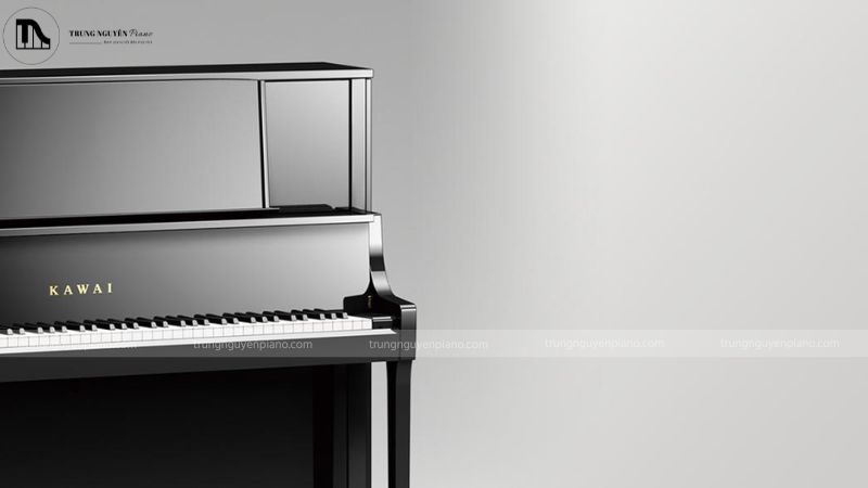 Đàn piano màu đen đã trở thành biểu tượng của sự quý phái