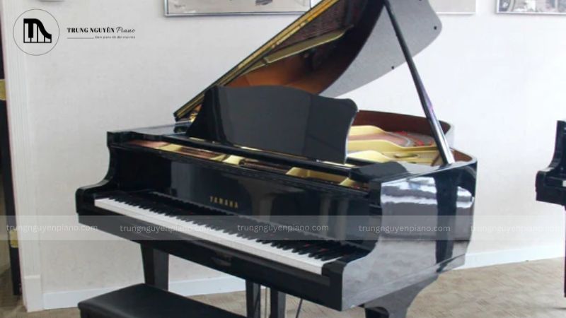 Đàn piano màu đen được xem là biểu tượng của sự sang trọng