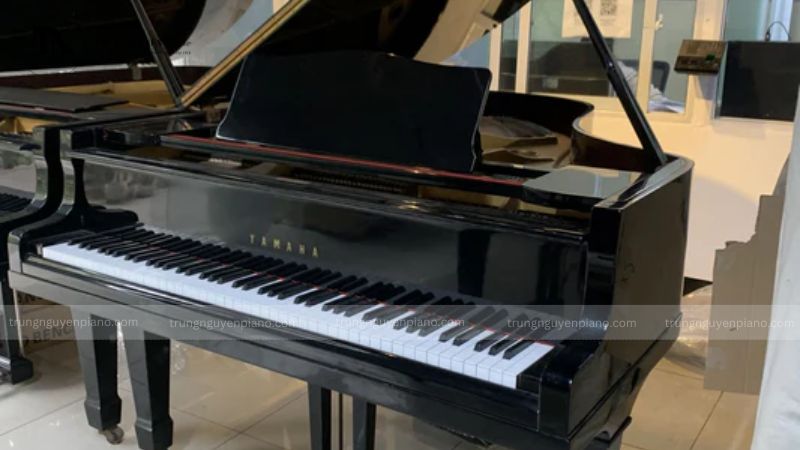 Bố trí đàn piano màu đen trong không gian nội thất