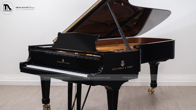 Đàn Steinway Model D Grand Piano