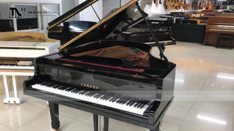 Màu đen luôn mang đến sự huyền bí và cuốn hút