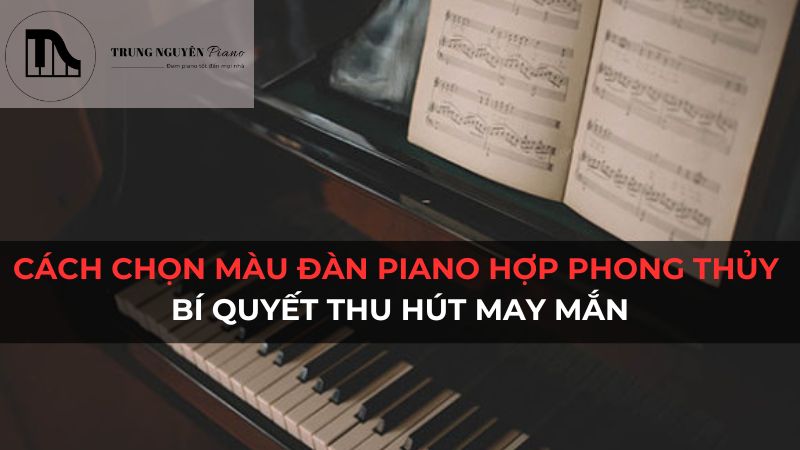Top 4 Đàn Piano Màu Đen - Lựa Chọn Tinh Tế Cho Không Gian Sang Trọng