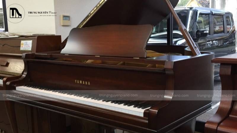 Đàn piano không chỉ là một nhạc cụ mà còn là một tác phẩm nghệ thuật