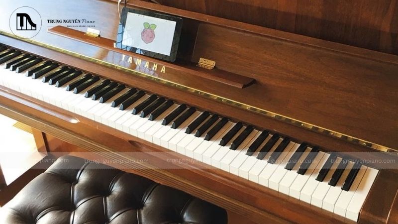 Đàn piano màu gỗ có độ bền cao nếu được bảo quản đúng cách