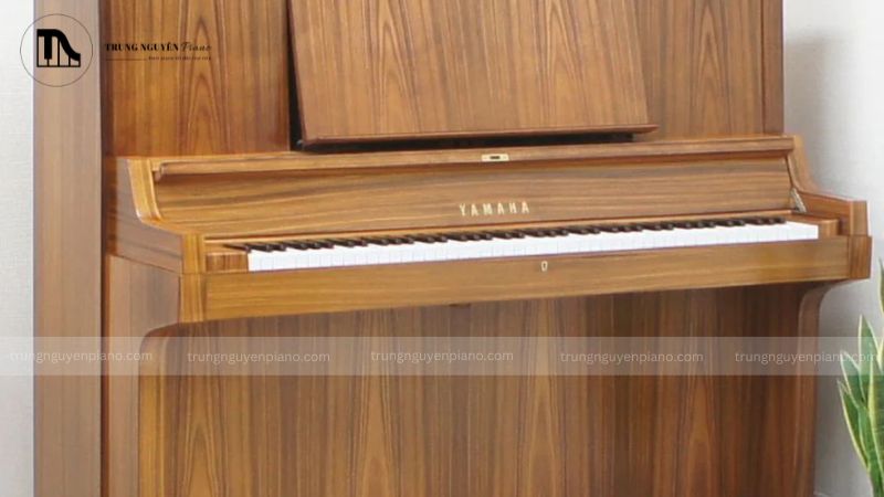 Mẫu đàn piano màu gỗ tự nhiên