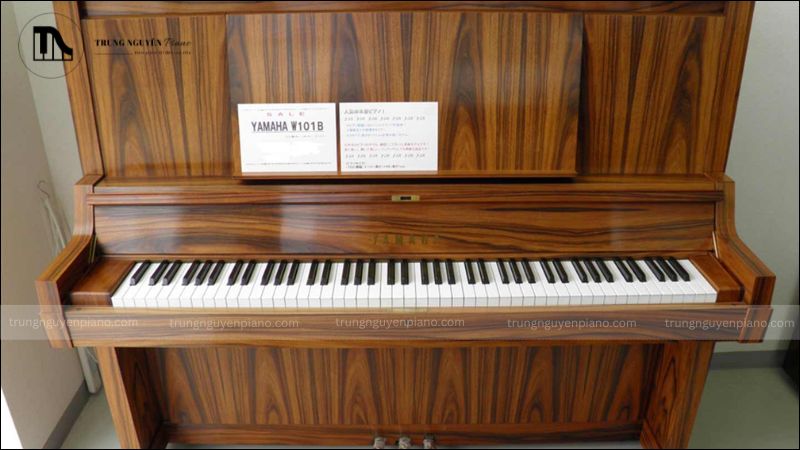 Yamaha – Dòng W-Series danh tiếng