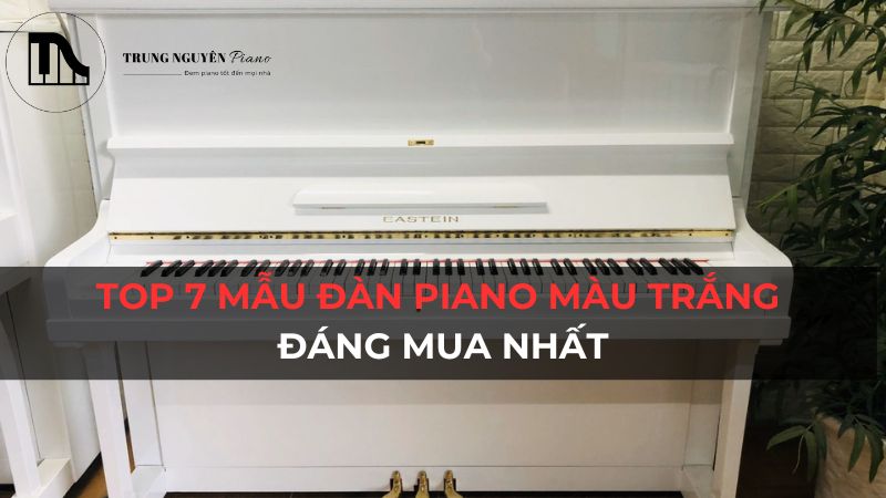 Top 7 mẫu đàn piano màu trắng đáng mua nhất