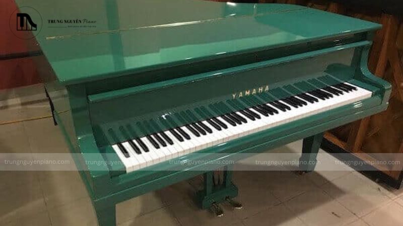 Lựa chọn dựa trên ngân sách 