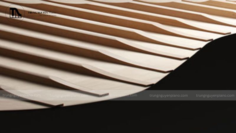 Gỗ Vân Sam (Spruce)