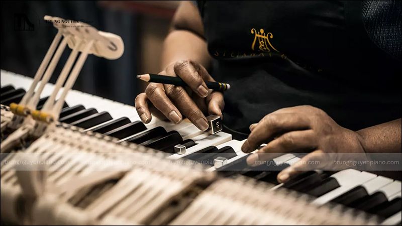 Các loại gỗ làm phím đàn piano (Keys)