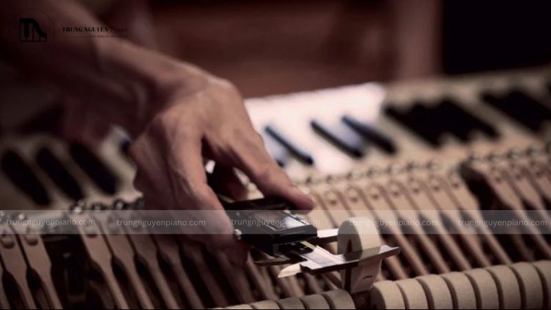 Các loại gỗ làm phím búa đàn piano (Hammer Shank & Hammer Head)