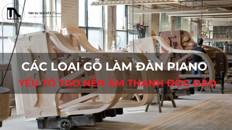 Các loại gỗ làm đàn piano: Yếu tố tạo nên âm thanh độc đáo