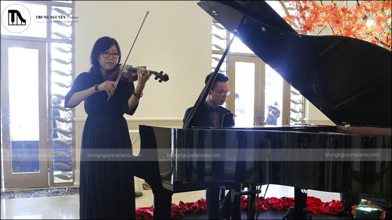 Thưởng thức một bản hòa tấu piano và violin bằng cách tập trung và lắng nghe
