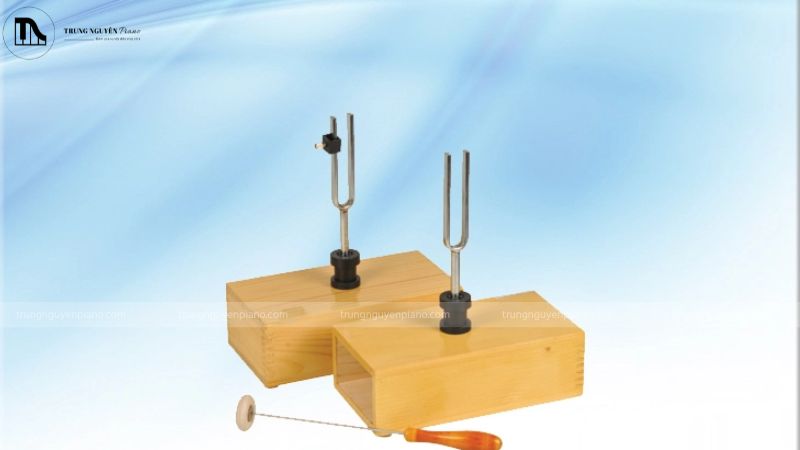 Hộp cộng hưởng được làm từ gỗ