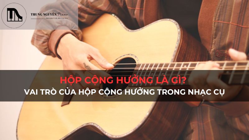 Hộp cộng hưởng là gì? Vai trò của hộp cộng hưởng trong các nhạc cụ có tác dụng
