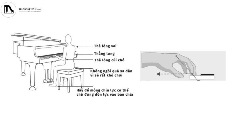 Hướng dẫn đánh đàn piano 2 tay cho người mới - bí kíp & bài tập thực hành 2 Tư thế ngồi và đặt tay đúng trong quá trình đánh đàn piano 2 tay