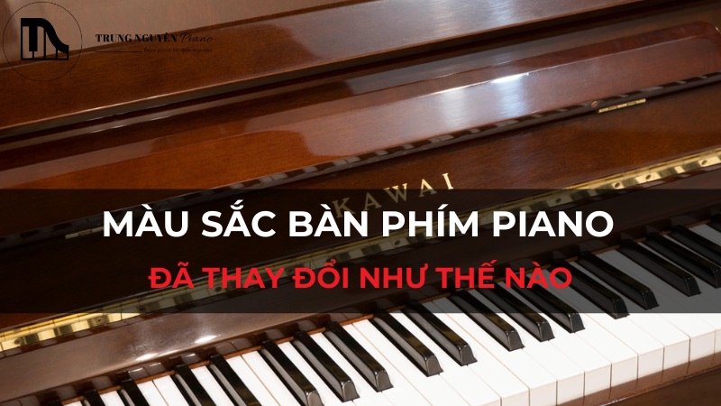 Màu sắc bàn phím piano đã thay đổi như thế nào