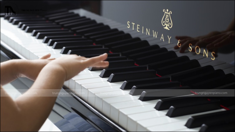 Nhựa và các vật liệu tổng hợp – Giá thành rẻ, dễ sản xuất, độ bền tốt