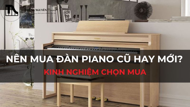 Nên mua đàn piano cũ hay mới? Kinh nghiệm chọn mua đàn piano tiêu chuẩn cần biết
