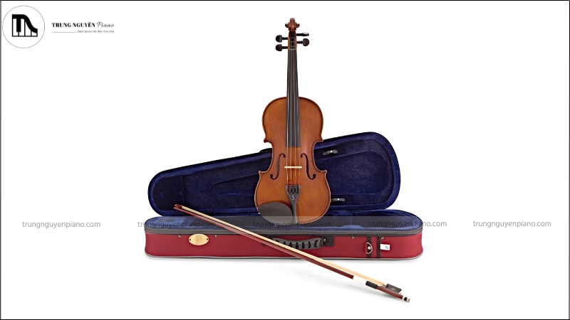 Violin là loại nhỏ nhất cũng như có âm thanh cao nhất trong họ vĩ cầm