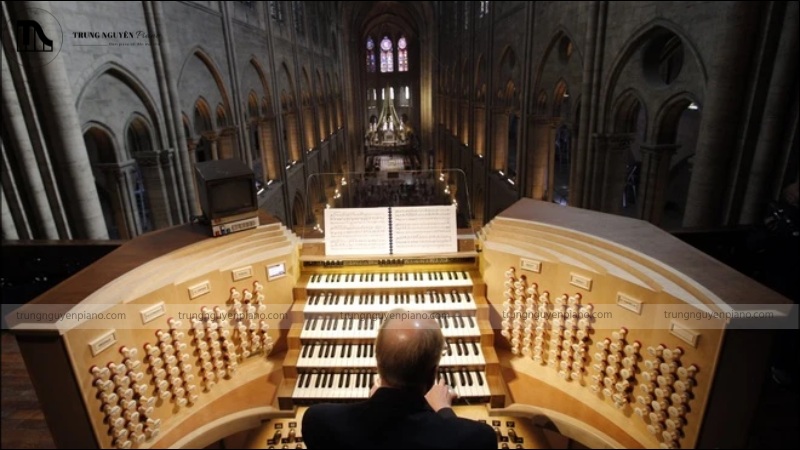Cây đại phong cầm của Nhà thờ Đức Bà Paris