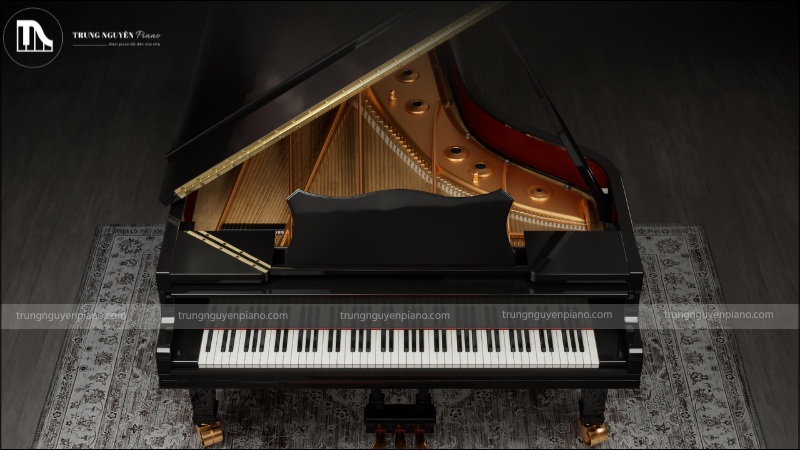 Đàn Piano là loại nhạc cụ ngày càng trở nên phổ biến trong những năm gần đây