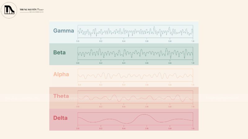 Top 10 bản nhạc piano tập trung làm việc cho năng suất cao 1 Các loại sóng não của con người