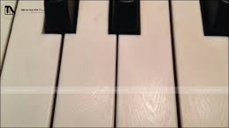 Phím đàn làm từ ngà voi có màu trắng ngà nhẹ