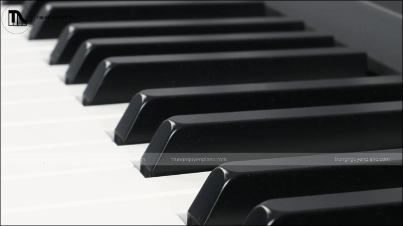 Phím nhựa thường có màu trắng sáng hơn