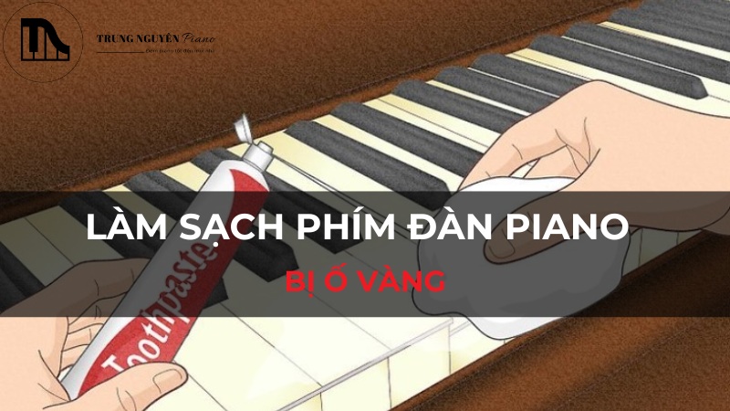 Làm sạch phím đàn piano bị ố vàng: Mẹo hay cho phím ngà và phím nhựa