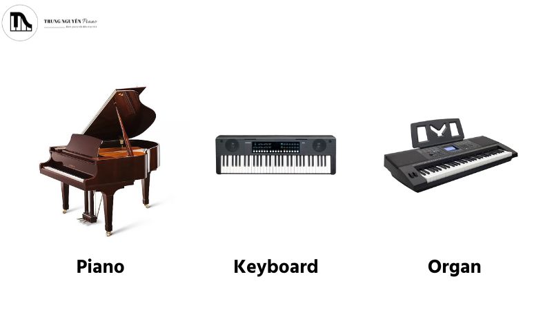 Các nhạc cụ phím đàn