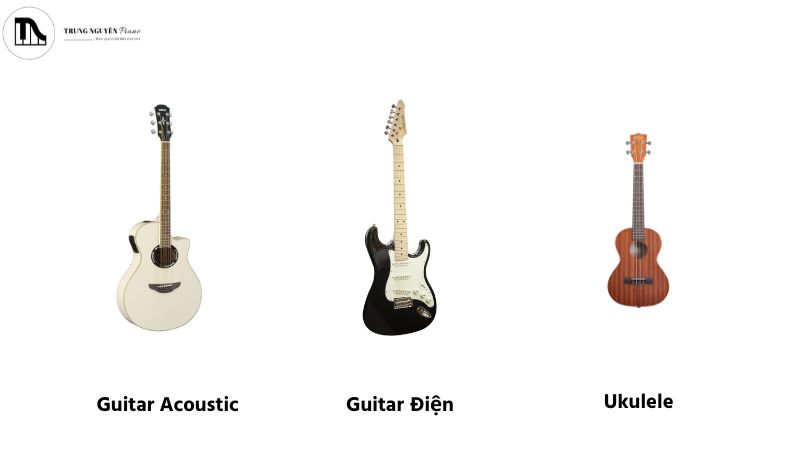 Các nhạc cụ dây gảy