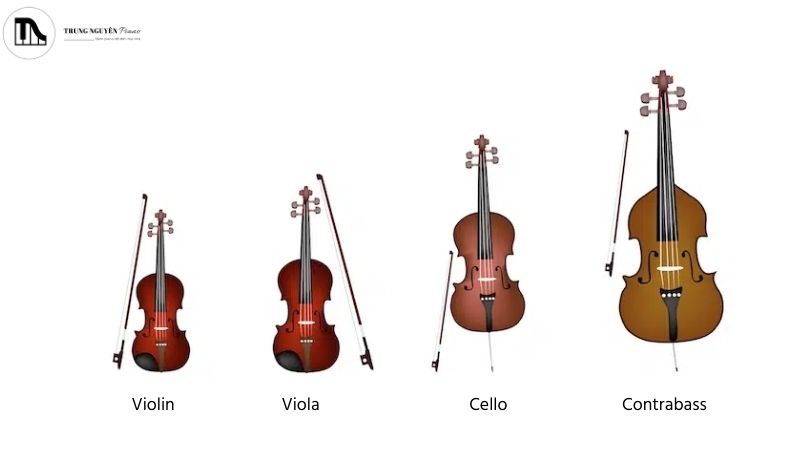 Các nhạc cụ dây kéo