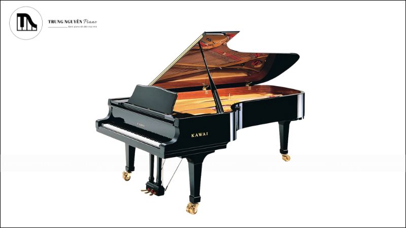 Top đàn piano 5 tỷ đắt nhất thế giới với giá trị vượt thời gian 2 Đàn piano 5 tỷ Shigeru Kawai SK-EX