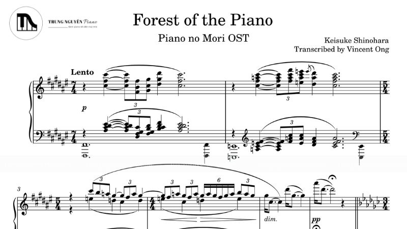 Đắm chìm trong top 10 bản nhạc piano nhẹ nhàng 6 Forest Of The Piano - Various Artists