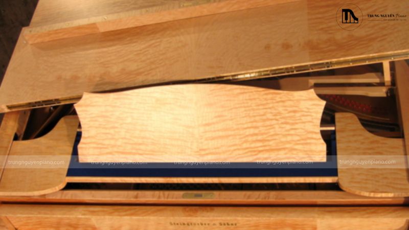 Steingraeber & Söhne tâp trung sử dụng những loại gỗ tốt nhất