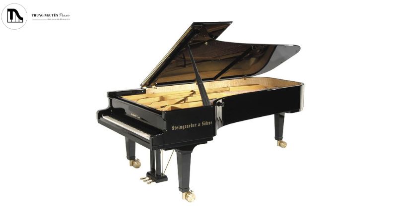 Steingraeber Concert Grand E275