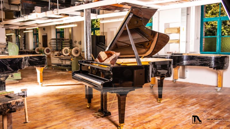 Steingraeber C212 Semi Concert Advanced