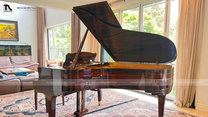 Steingraeber Customize / Bespoke