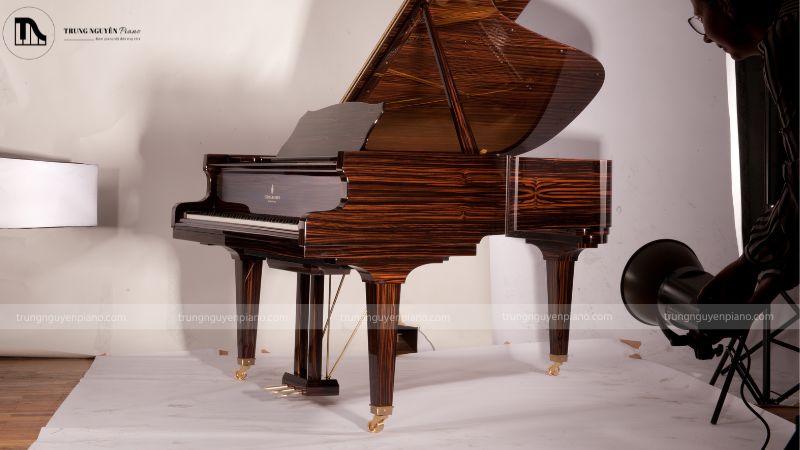 Steingraeber Màu Gỗ