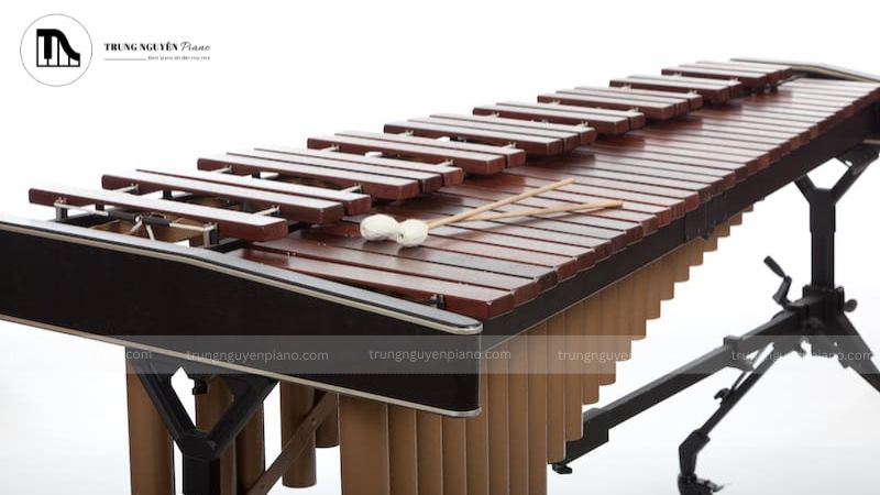 Xylophone là một trong những nhạc cụ gõ có lịch sử lâu đời
