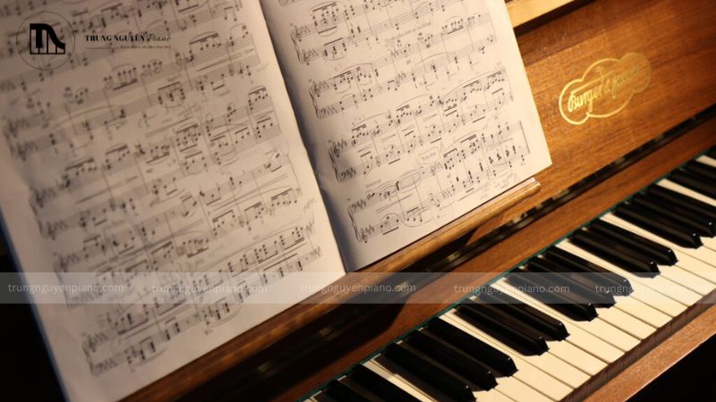 Piano là một trong những nhạc cụ phổ biến và có ảnh hưởng nhất trong thế giới âm nhạc