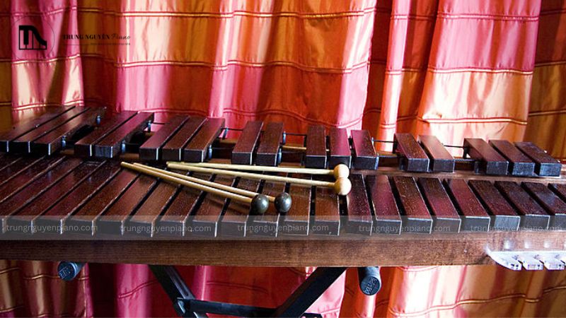 Xylophone có âm thanh đặc trưng: trong trẻo, sáng và vui tươi