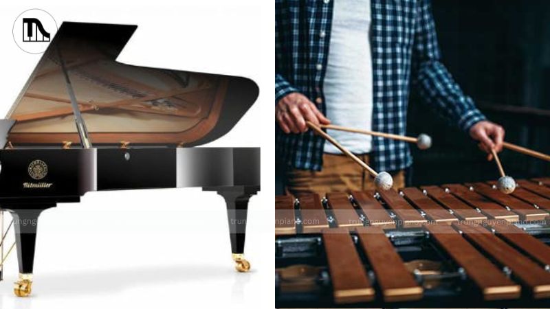 Piano và Xylophone đều là nhạc cụ gõ, nhưng chúng có sự khác biệt lớn về cấu tạo, âm sắc và vai trò trong âm nhạc