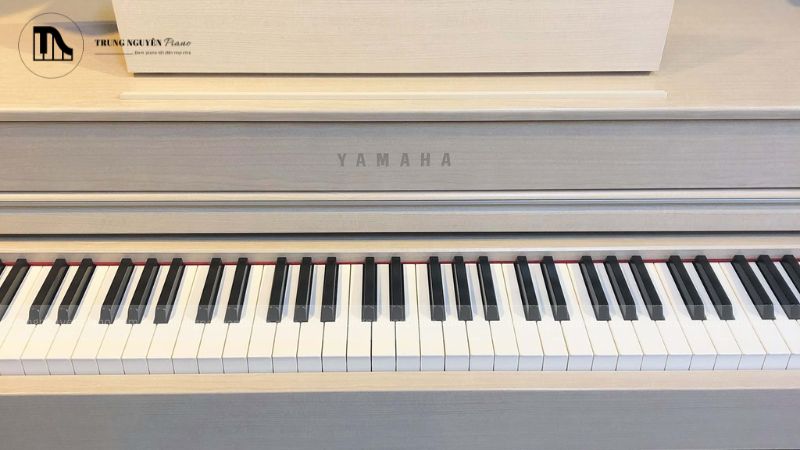 Piano và xylophone, dù có âm sắc đối lập, lại tạo nên một sự kết hợp độc đáo trong âm nhạc