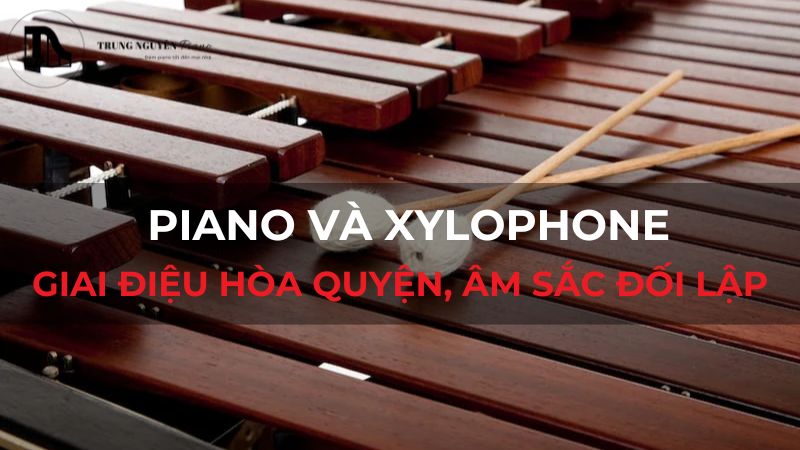 Piano và Xylophone: Giai điệu hòa quyện, âm sắc đối lập